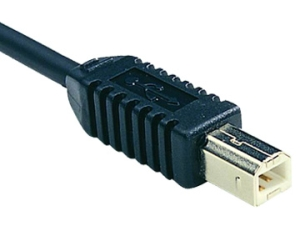 Illustration for article titled Giz Explains: An Illustrated Guide to Every Stupid Cable You Need